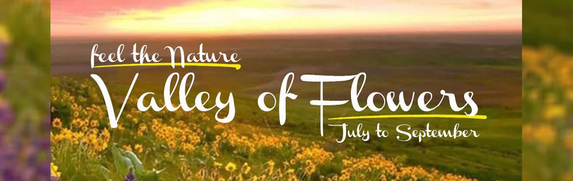 Valley of Flowers Trek