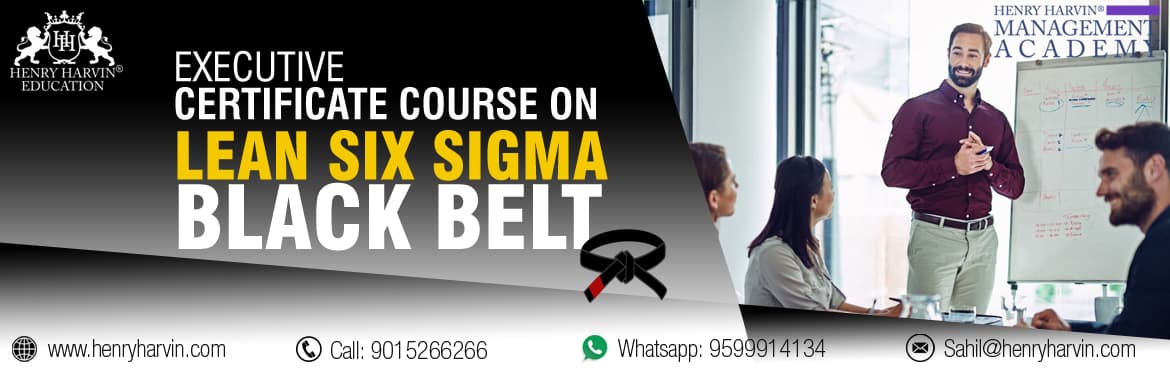 Lean Six Sigma Black Belt Course an Online