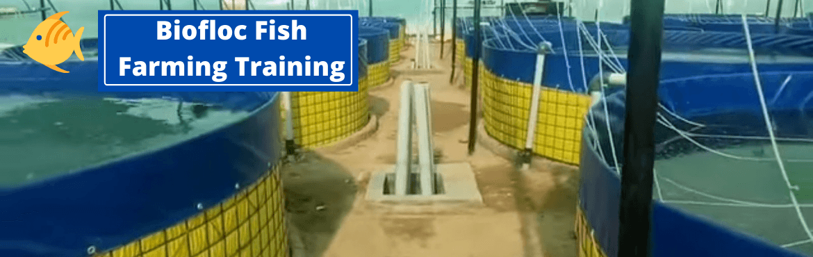 Practical Classroom Training with full coverage on Biofloc Fish Farming