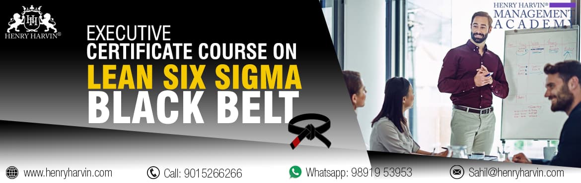Lean Six Sigma Black Belt Course an Online