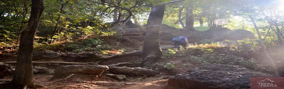 Treks and Trails India - Karnala Fort Trek on 27th February 2021