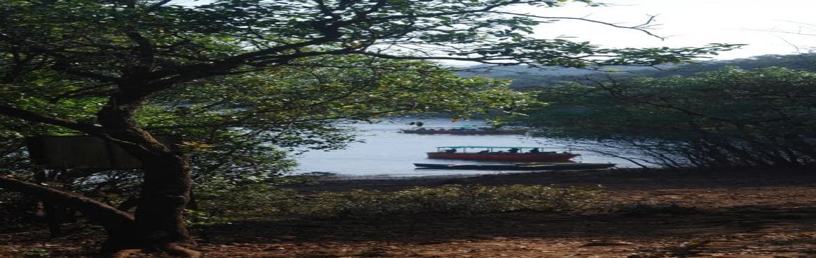 Vasota Jungle Trek with Oonaad Bhramantee