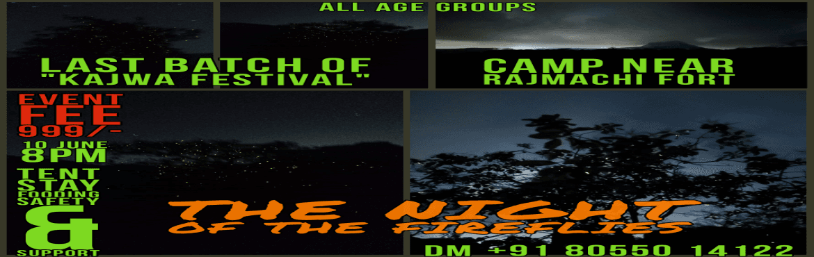 Night camping with Fireflies near Lonavla on 10 June 2023