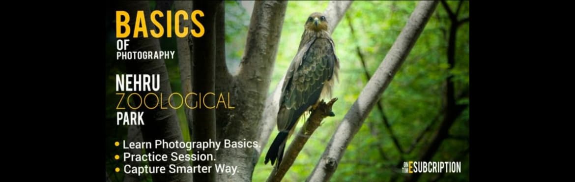Master Your Photography Basics || Nehru Zoological Park