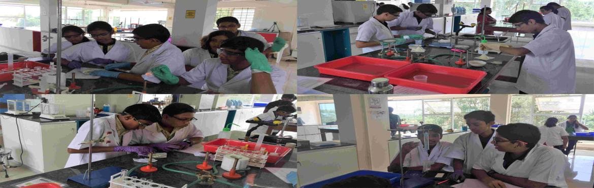 Science Explorers Quest (Sr- Module2)