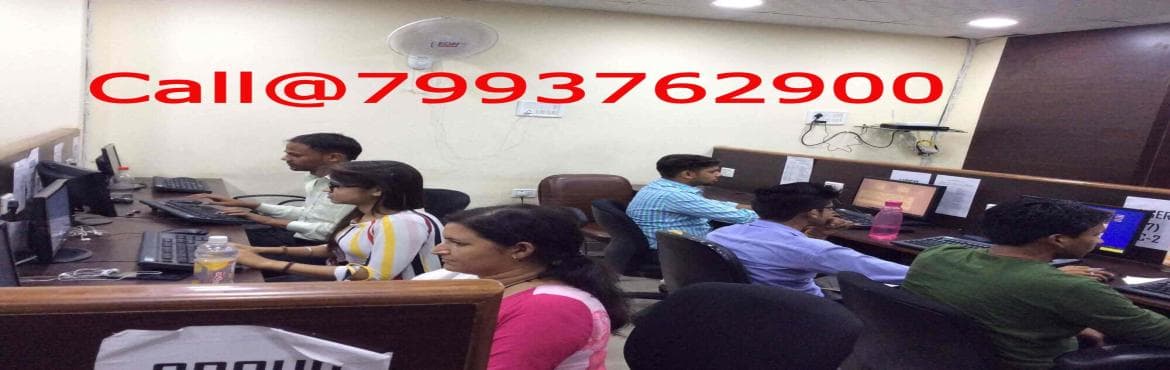 Call@7799623005.Kinaxis Rapid Response Training Institute in HYDERABAD,BANGALORE, CHENNAI,MUMBAI,PUNE