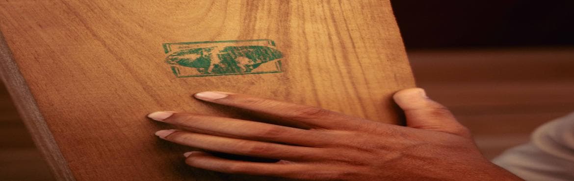 Top Notched Burma Teak Supplier Burmese Gold Teak