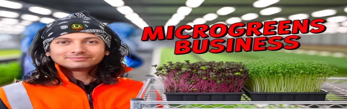 Hands-on Microgreens Training Program for Business in Bangalore