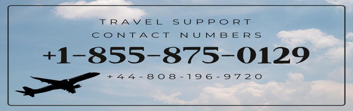 Smart Ways to Reach Delta Airlines USA : The Ultimate Contact Guide