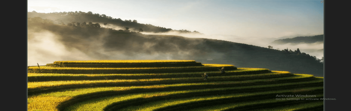 Vietnam Delights: Ha Long Bay Cruise - Hanoi Explorer