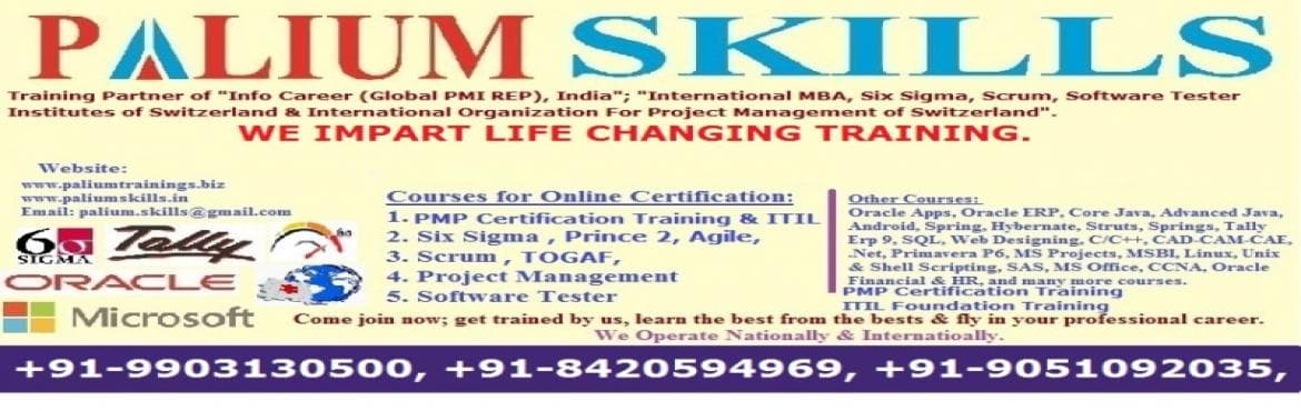 Selenium with Java/Python Live Training